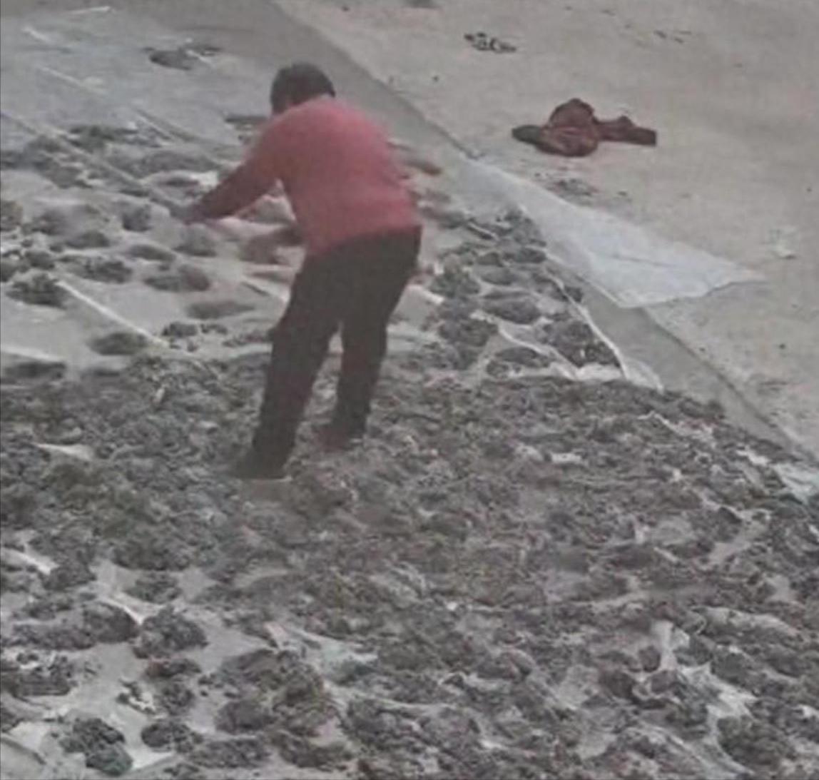 乐鱼下载-80岁老太毁水泥地后续：损失超5000元，子女连夜返回，原因太离谱